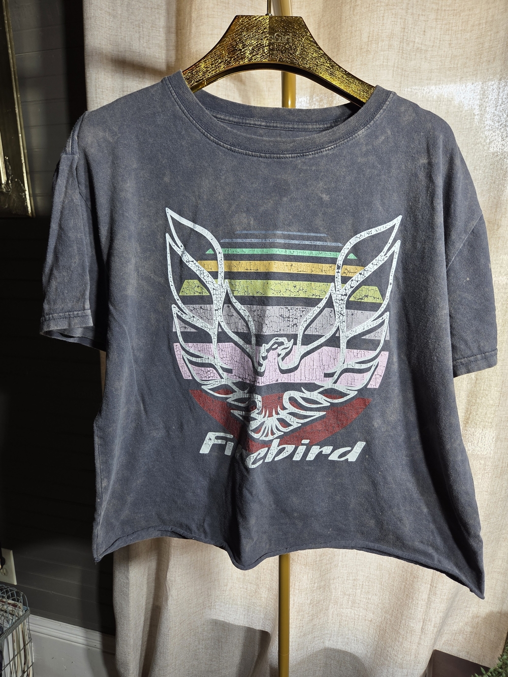 Retro Graphic Crop Top - Firebird Motif